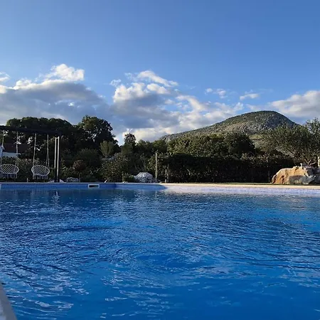 Ambric - Nature Escape *