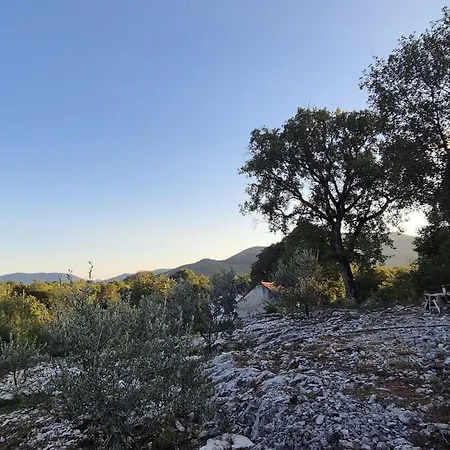 Villa Ambric - Nature Escape