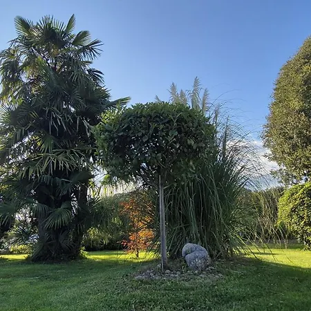 Ambric - Nature Escape *