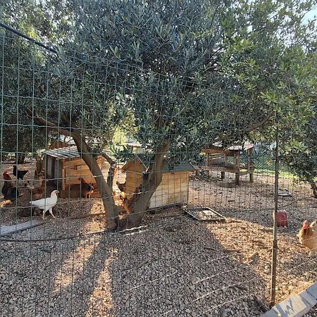 Ambric - Nature Escape Villa *