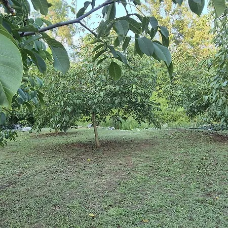 Villa Ambric - Nature Escape
